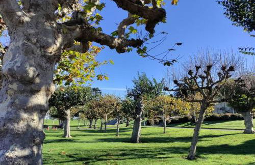 Sunny SF home - cozy, spacious, convenient w/parking, A+ location!! - Foto 1