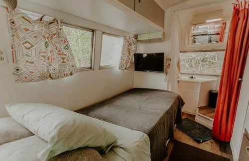 Streamside ShinyTiny Airstream in the Smokies - Foto 9