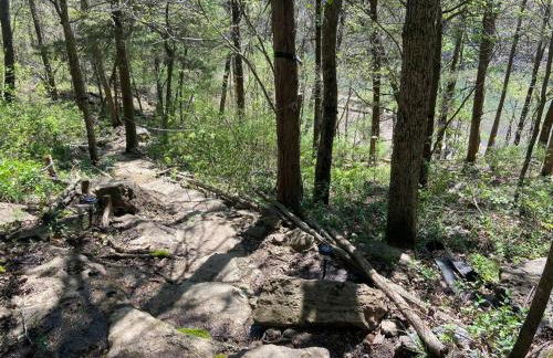 Secluded Lakeview retreat by Eureka Springs-CANOE - Foto 17