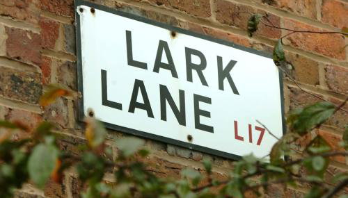 Mersey! Lark Lane! Quiet area! Spacious comfy flat - Foto 4