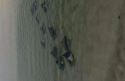 Holiday Surf and Racquet Unit 612 - Foto 25