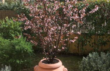 La casita de la Luz - Foto 40