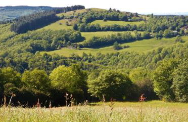 Gîte Wistéria - Foto 42