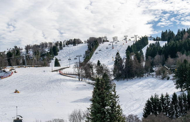 2 Separate Wohnungen mit Balkon an der Skipiste - Photo 33