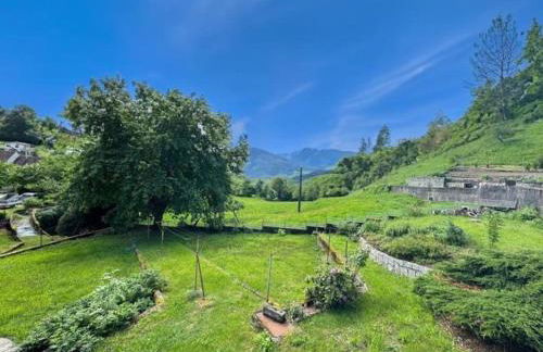 Insel Paradise - Foto 40