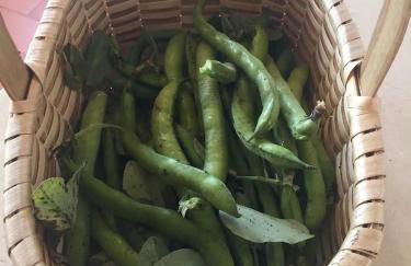 Cottage with Pool,Gourmet BBQ,Wood Oven&Games Barn - Foto 60