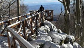 Sogno Amiatino - Foto 3