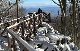 Sogno Amiatino - Foto 3