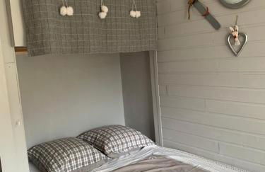 Avec balcon, au pied des pistes et randos - Foto 11