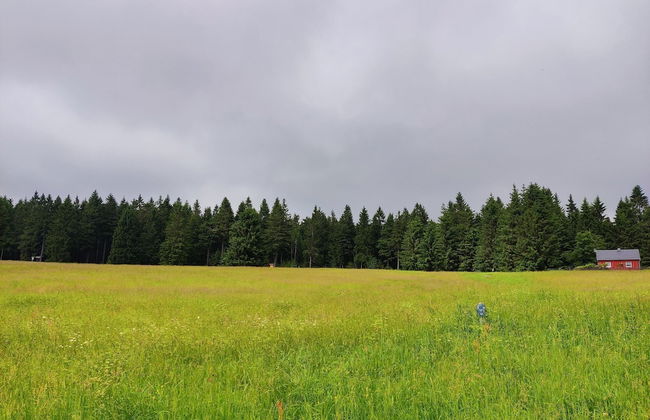 Forest Escape With Terrace - Photo 31