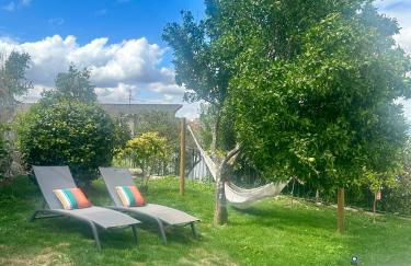 Casa da Zéfinha - Villa, em Cinfães, no Douro - Foto 18