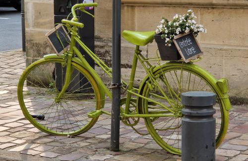 Les chats pitres Maison au calme rénovée avec jardin, terrasse aménagée, transats, abri à vélo, parking gratuit, 5 mn à pied du centre Bayeux proche des plages du débarquement - Photo 40