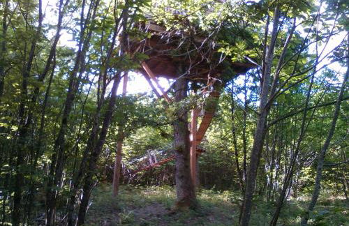 Ô bois dormant - Foto 107