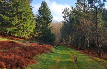 Casa Berdeal - Foto 34