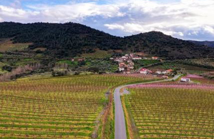 Achego Transmontano - Photo 11