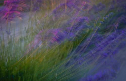 Dungeness Barn House Bed and Breakfast at Two Crows Farm - Foto 33