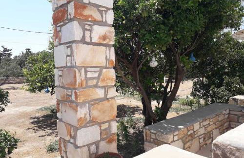 Flora Apartments - Photo 69