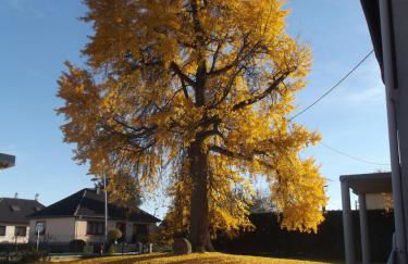 Le Moulin d'Oscar & Spa - Mulhouse Nord - Foto 91