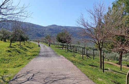 Amapola Alojamiento Rural - Foto 46