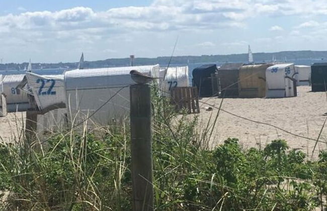 Holiday Home Reimers - Foto 14