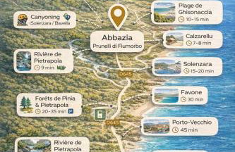 Villa Piscine Mer 7 min Vue Montagne Clim - Foto 39