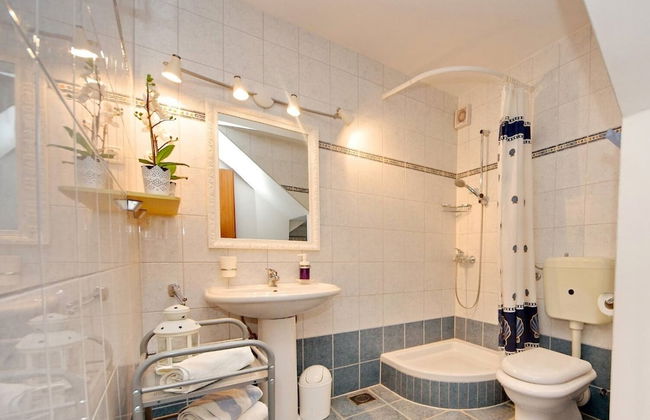 Dino - Gorgeous Garden - SA2 Jelsa - Photo 14