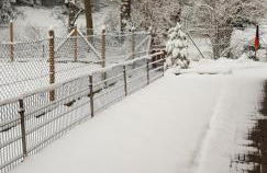 Ferienhaus Auszeit - Foto 6
