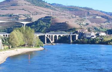 Casa do Trovão - Douro - Foto 21