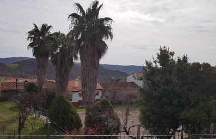 Apartamento Buenavista - Foto 12