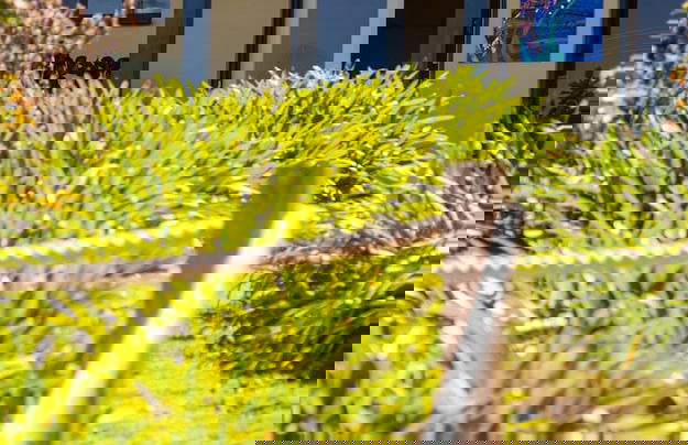 Victor Apartments - Foto 2