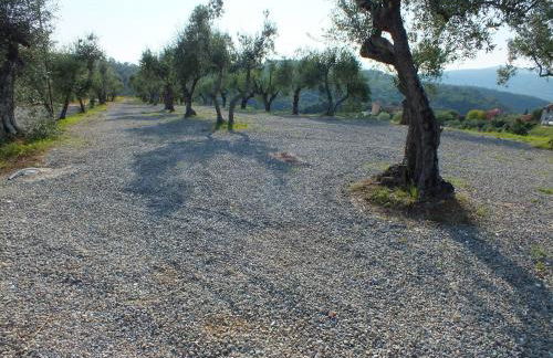 Agriturismo Ai Mandrioli - Foto 39