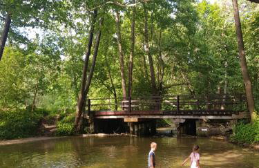 Łap Las Pelnik - Photo 53