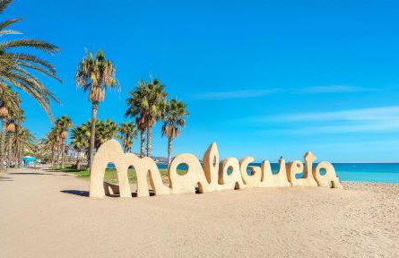 Mi Andalusia Hotel Experience - Photo 80
