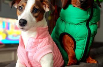 Żurawisko - Domki wśród natury - Foto 29