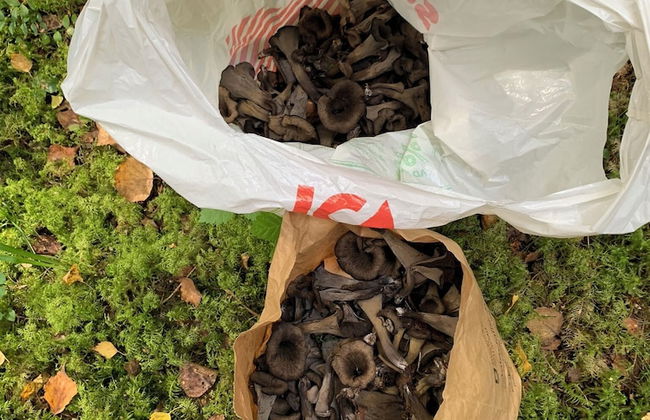 Charming Property With Private Pool - Foto 33