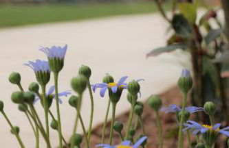 Tenuta Cesarina - Foto 31