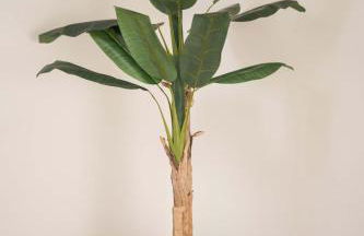 Ermal Terrace - Foto 66