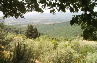 Casa Renacci - Foto 8