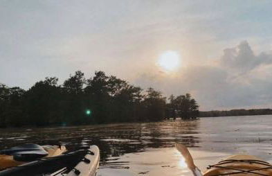 Caddo Lake Cabins- Wyldewood with Kayaks - Foto 22