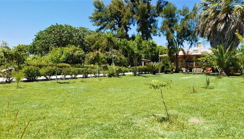 Amarynthos Beachfront Vacation House with garden - Foto 4