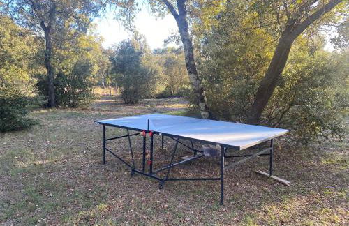 Villa au calme dans un domaine boisé - Foto 34