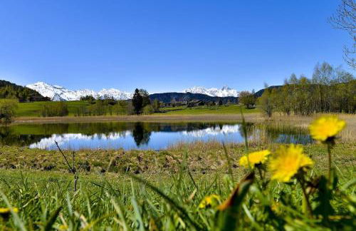 Home Sweet Home - Foto 47