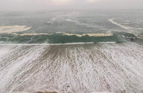 Rock Lobster - Foto 43