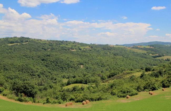 Elysian Escape - A Paradise - Foto 45