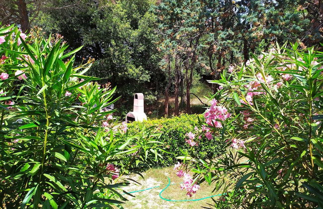 Da Tilli alla Fornace - Foto 44