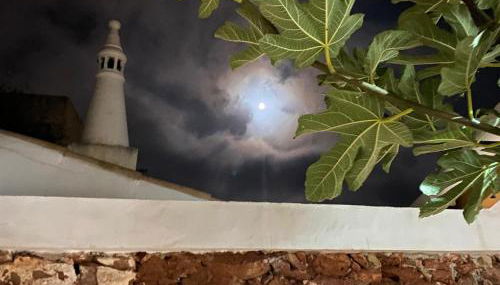 Casa da Figueira - Guest House - Photo 2