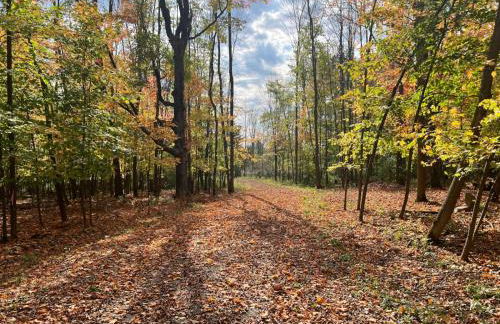Maison Flambeau - Foto 55