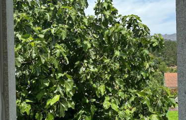 Casa Ermida - Photo 30