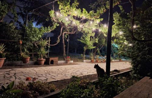 Etna, salvia e rosmarino - Foto 18