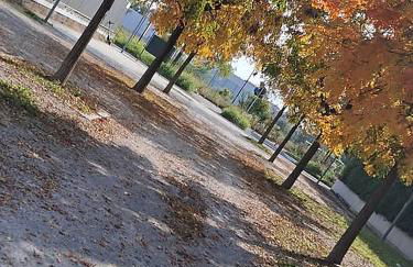 Apartmento Casa 48 - Milano - San Raffaele - Olimpiadi Milano Cortina - Foto 31